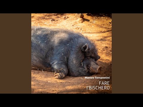 Vieni a Prato di Settembre