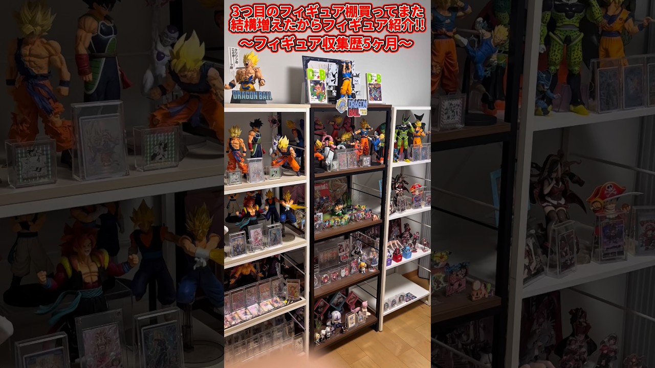 【ドラゴンボールフィギュア】3つ目のフィギュア棚買ってまた結構増えたからフィギュア紹介！！〜フィギュア収集歴5ヶ月〜