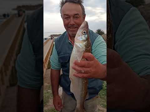 LOS GIGANTES DE GUAMINÍ.#pesca #fishing #pejerrey #laguna #fish