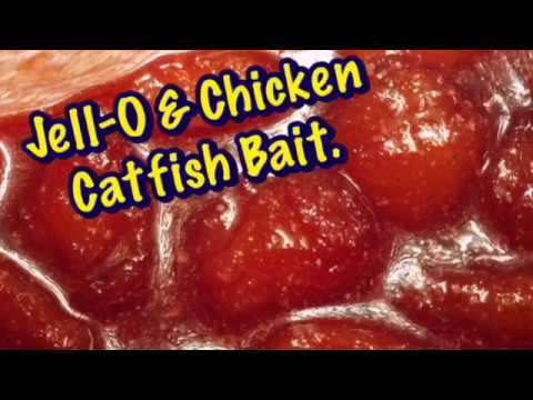 Jell-O & Chicken Catfish Bait