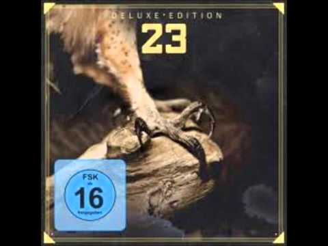 Sido & Bushido Schöne neue Welt