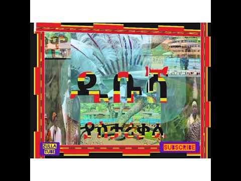 Ethio Gamo Subscribe Ayrsu እትዮ ጋሞ  ዱቡሻ ያስታሪቃል። ተጋበዙልኝ