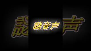 両性ボイス
