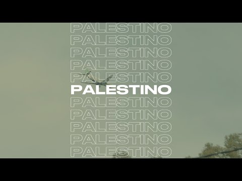 Sarestv - PALESTINO (Official Video)