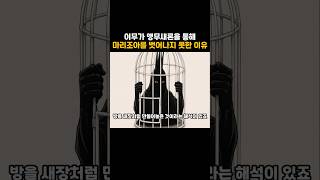 원피스 앵무새론으로 밝혀졌다는 최종보스의 정체