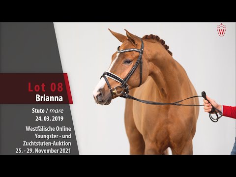 Youngster- und Zuchtstuten-Auktion Lot 08 Brianna Stute v. Benicio - Don Frederic