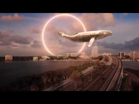 Hindabuilding Podcast by Crazy E Early/Millenium