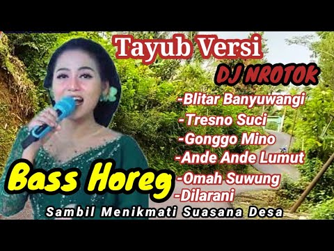 Tayub DJ Nrotok Versi Terbaru 2025 ✓Bass Horeg......!! Asli Tayub Trenggalek