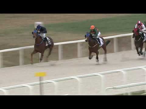 2021.04.04. 05. futam - HORVÁTH KÁROLY EMLÉKVERSENY HENDIKEP (II.o.)(szintetikus p.)