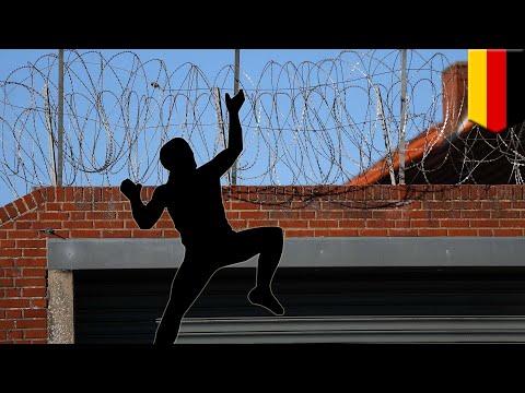 Prison break: Guy breaks into German jail to win back ex-gf - TomoNews