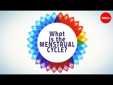 How menstruation works – Emma Bryce