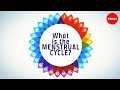 How Menstruation Works Emma Bryce