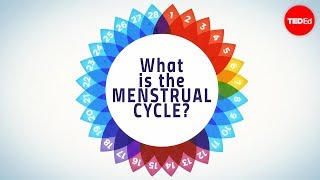 How menstruation works – Emma Bryce