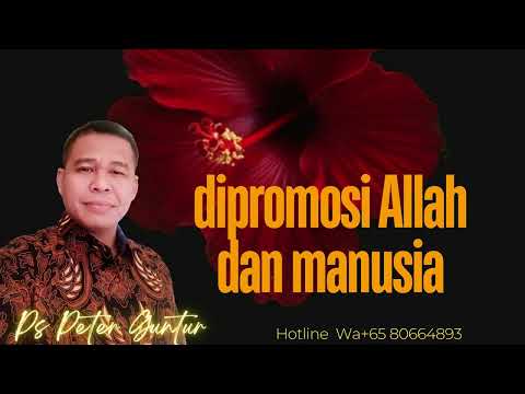 DIPROMOSI ALLAH DAN DIPROMOSI MANUSIA -   PETER GUNTUR