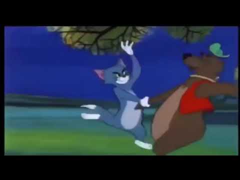 Cats funny hindi !