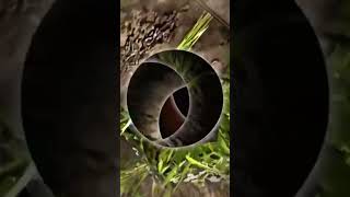 Download lagu watch the full video here https://youtu.be/qk9ZhCE7BOA?si=NERmmu5iQFOmlA0y mp3 Download lagu watch the full video here https://youtu.be/qk9ZhCE7BOA?si=NERmmu5iQFOmlA0y mp3