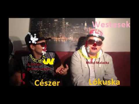Cészer feat Lókuska - Where is that fag money