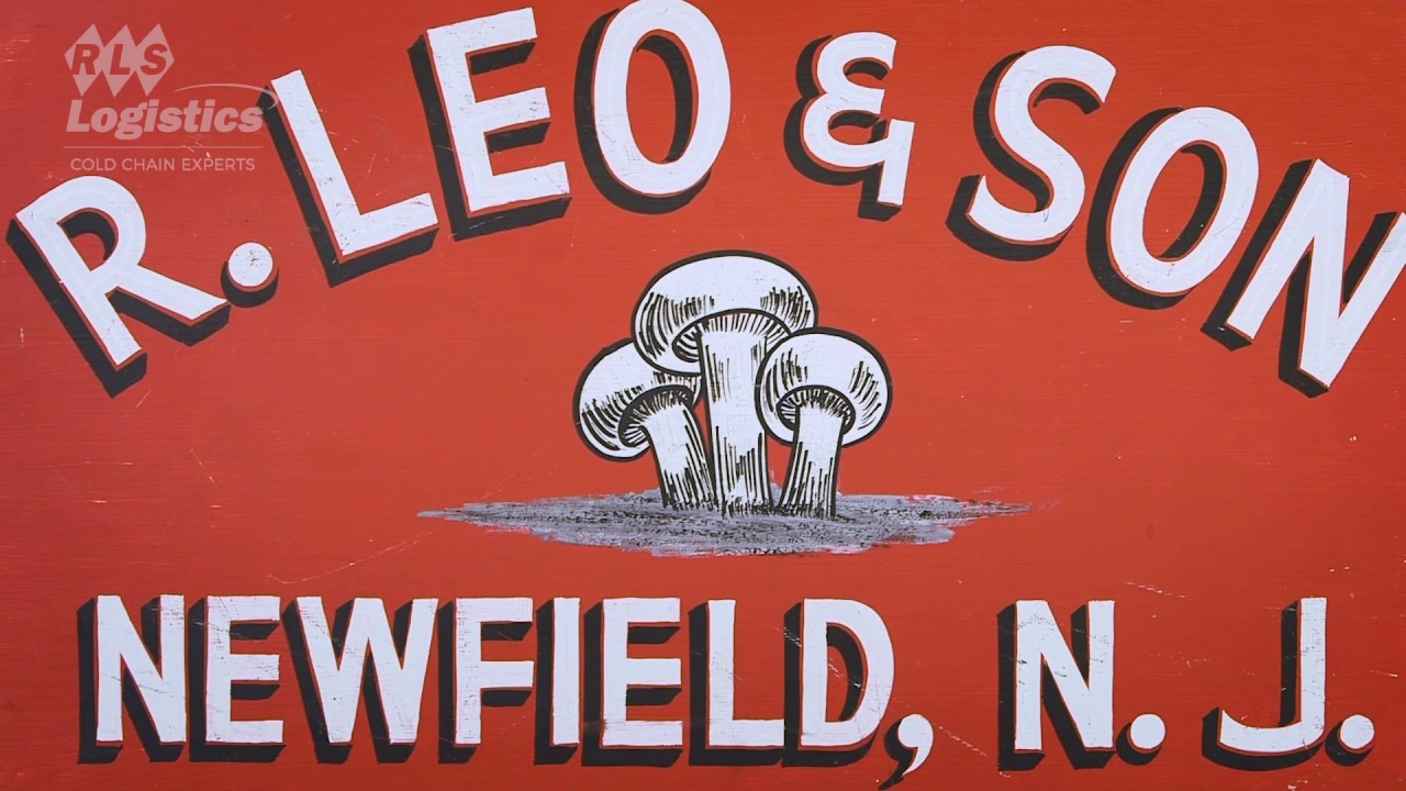 The History of RLS Logistics