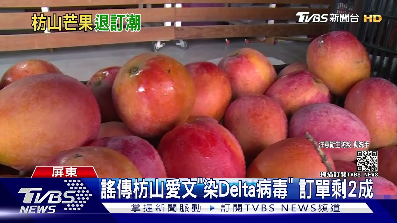 害慘果農！謠傳枋山愛文「染Delta病毒」　訂單剩2成