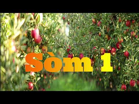 Sòm 1 - Psaume 1 en créole