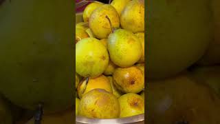 Water Bath Canning Kieffer Pears | Preserving Fruit For Winter | Recipe In Description!