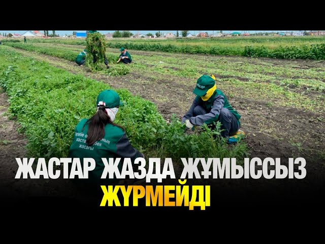 Жастар жазда жұмыссыз жүрмейді