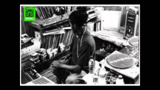 Damu The Fudgemunk - Straight From The Harp