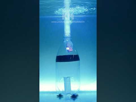 DIY Aquarium Fish Waste Filter That REALLY Works!