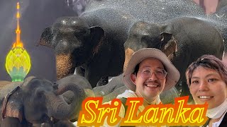 We went to see elephants 🐘 Sri Lanka