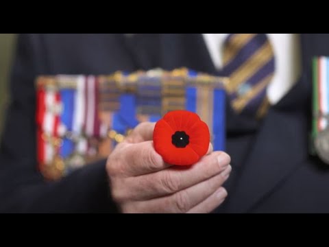 First Poppy First Poppy presented to Canada’s Governor General | Royal Canadian ...
