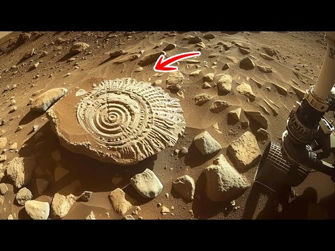 Hinweise auf Korallen auf dem Mars? Was James Webb gerade entdeckt hat