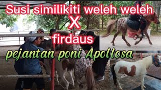 Download lagu kuda kawin ! kuda poni apolosa vs Susi similikiti weleh weleh mp3