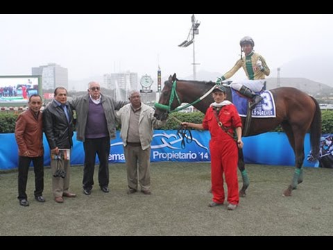 LOLO FOREVER - Clásico Juan Magot Roselló (L) - 1,600 Mts.