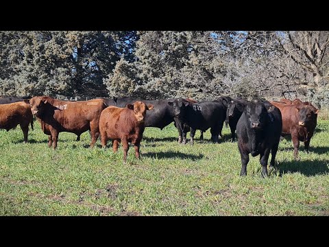 Jornada a Campo de Cabaña Lomas Pampas - 2023
