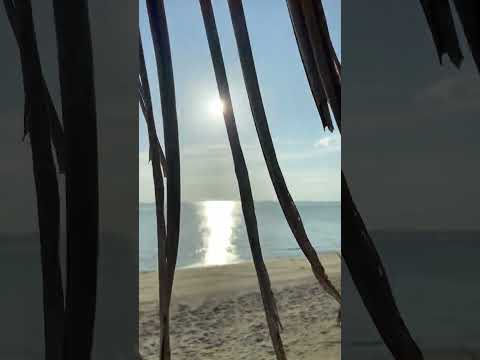 Graffiti on a wall at the beach #beach