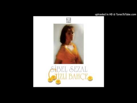 Sibel Sezal - Gece Ay Şahit