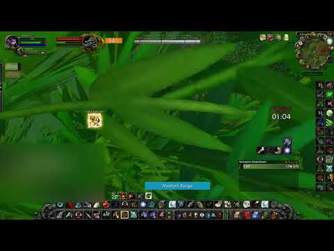 Zul Gurub 6 Pack Hunter BC Classic (Pet boosting)