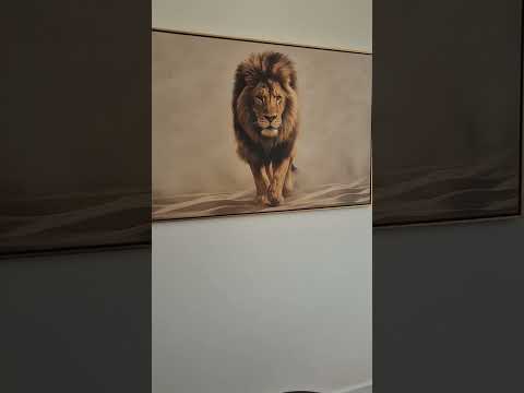 Ítalo Astoni-16