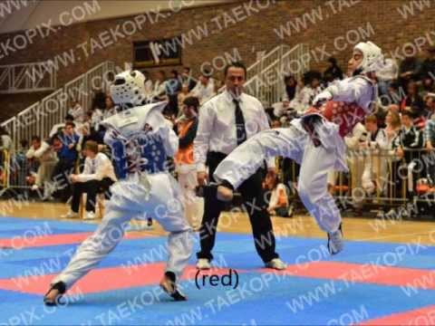 salim challouki highlights