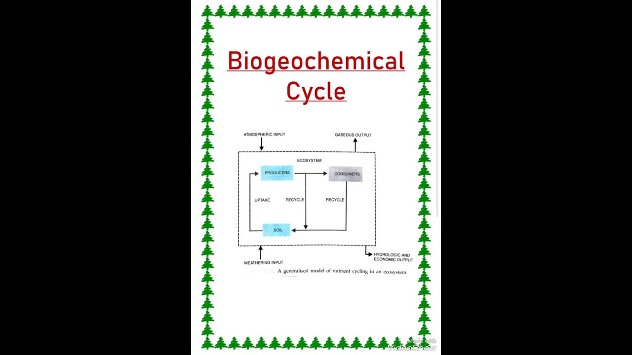 Biogeochemical cycle