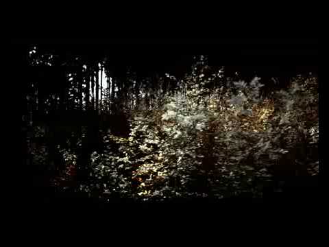 Bushido ft Karel Gott Für Immer Jung