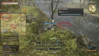 Elm Log FFXIV