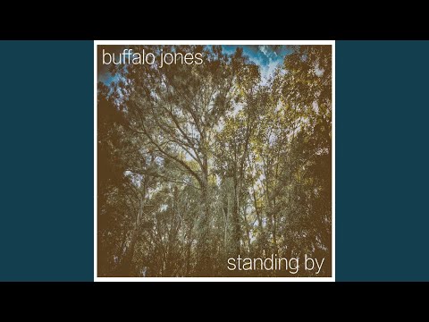 Over At The End - Buffalo Jones