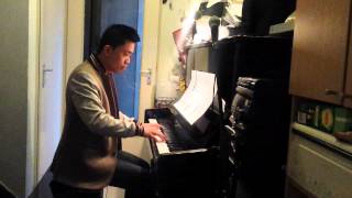 偏偏喜欢你  piano cover by Elson Lee