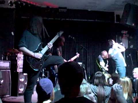 Cries of the Captive (Disease) Live