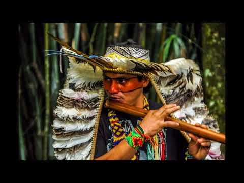 Pajé Sian Albanir  - Kayatibu de miração (chamada da força)