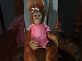 Something S Inside The Doll Credit Cassieomalley3244 Scary Paranormal
