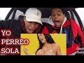 YO PERREO SOLA BAD BUNNY VIDEO REACTIO YO PERREO SOLA BAD BUNNY VIDEO REACTIO