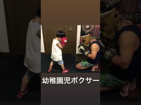 ボディ打ちが得意な幼稚園児ボクサーのスパーリング
