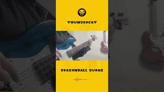 【Bass cover】Thundercat - Dragonball Durag #Shorts⚡🐱